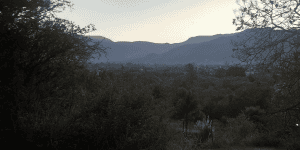 Áreas Naturales Protegidas