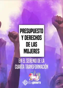 portada del documento presupuesto y derechos de las mujeres en el sexenio de la cuarta transformación